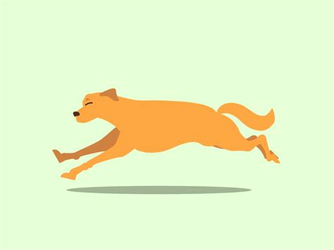 Dog Running Animation