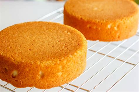 Basic Vanilla Cake Recipe The Cookie Writer