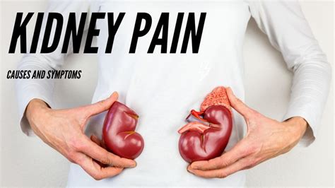 How Long Does Kidney Pain Last Causes Symptoms And Healing