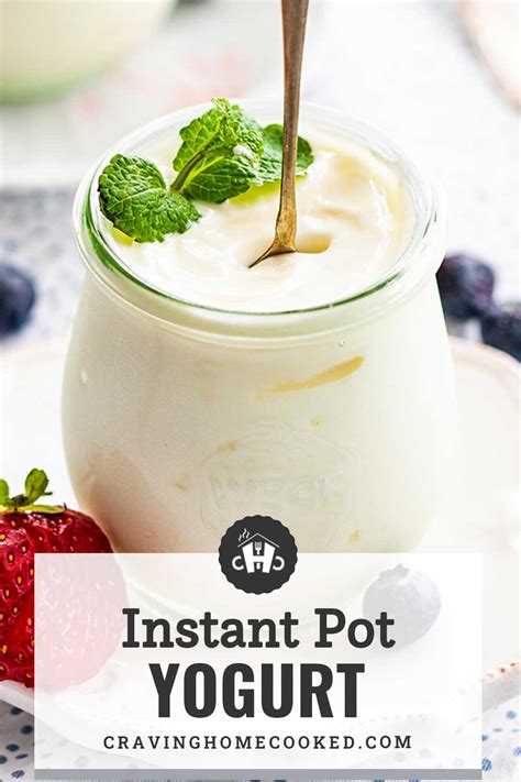 Instant Pot Yogurt Craving Home Cooked
