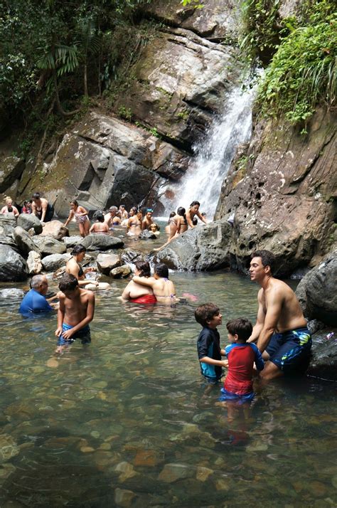 El Yunque Rainforest Puerto Rico Hiking La Mina Trail And Waterfall