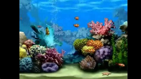 Free Aquarium Screensaver Turn Your Screen Into A Living Fishtank