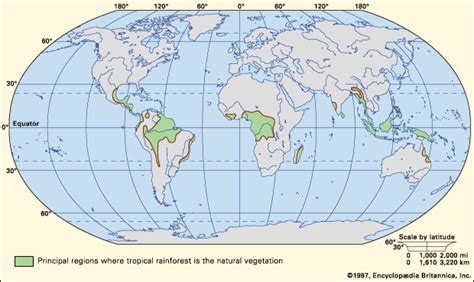 The tropical rainforest is earth's most complex biome in terms of both structure and species diversity. tropical rainforest: prinicpal regions of tropical ...