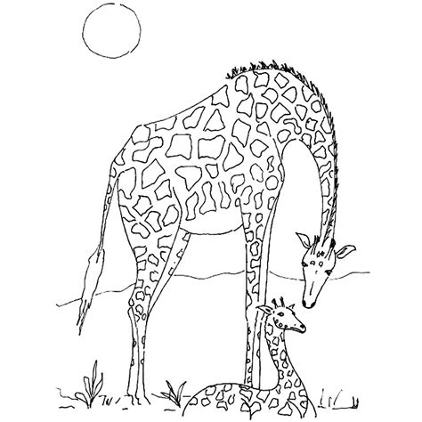 Coloriage Animaux Sauvages De La Jungle 21138 Animaux Dessin à