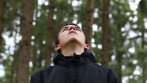 Boy Lost In The Woods Episode 2 Stock Footage Video 4285028 Shutterstock