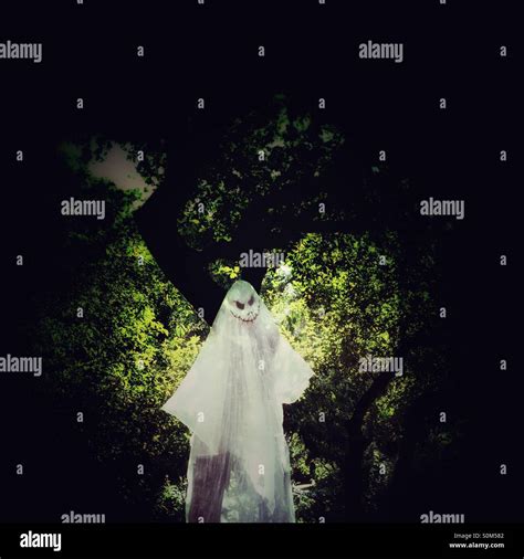 Ghost In A Forest Stock Photo Alamy