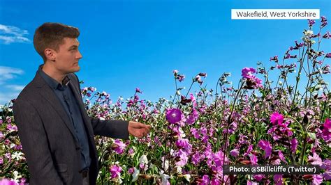 Met Office Evening Weather Forecast 27/05/23 – Pleasant Bank Holiday