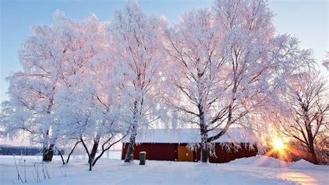 Winter Scene Backgrounds ·① Wallpapertag