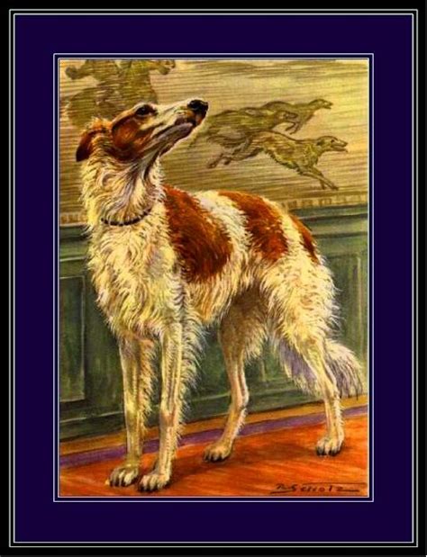 Vintage Print Russian Wolfhound Borzoi Dog Art Picture Ebay