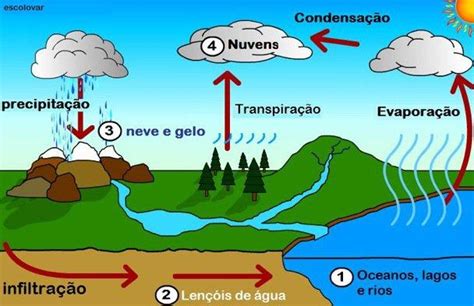 Esquema Del Ciclo Del Agua Se Conoce Como Ciclo Del Agua O Ciclo