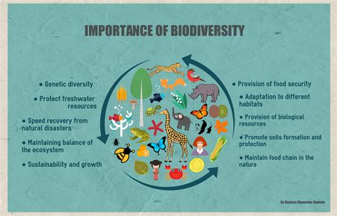 The Importance Of Biodiversity Importance Of Biodiversity In