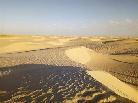Sahara Desert Tozeur 2022 Alles Wat U Moet Weten Voordat Je Gaat