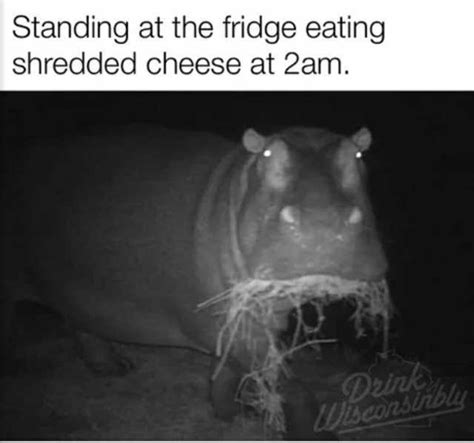 Standing At The Fridge Eating Shredded Cheese At 2am Deink Sconsinbly