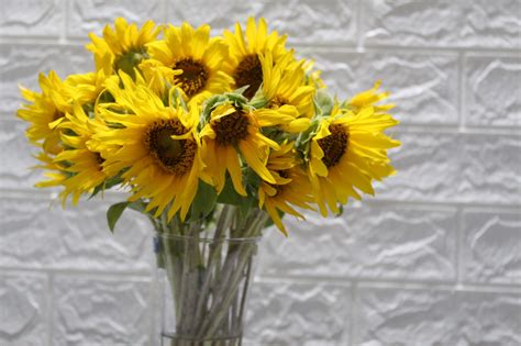 Buy Sunflowers Bunch Bloomybliss