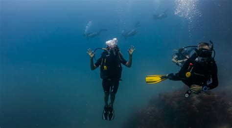 Padi Discover Scuba Diving Sail Rock Divers