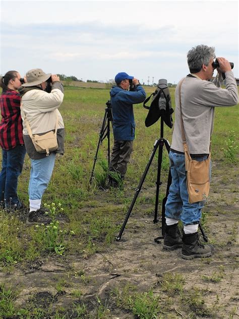 Orland Grassland Volunteers Seek Novice Bird Watchers Daily Southtown