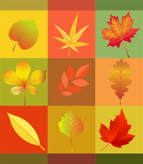 Free Vector Graphic Autumn Leaves Colorful Free Image On Pixabay