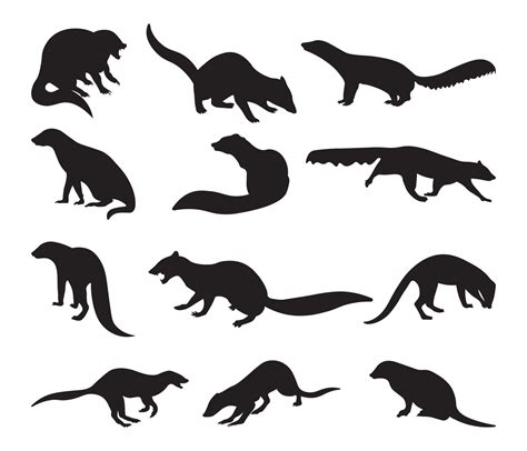 Mongoose Silhouette Vector Illustration Set 21517268 Vector Art At