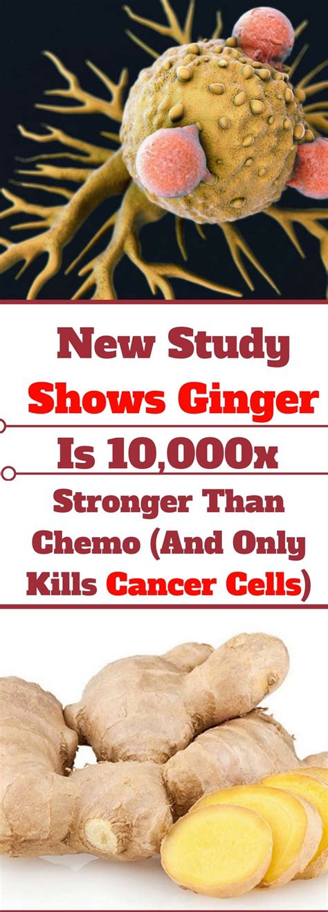 New Study Shows Ginger Is X Stronger Than Chemo And Only Kills Cancer Cells READ THIS