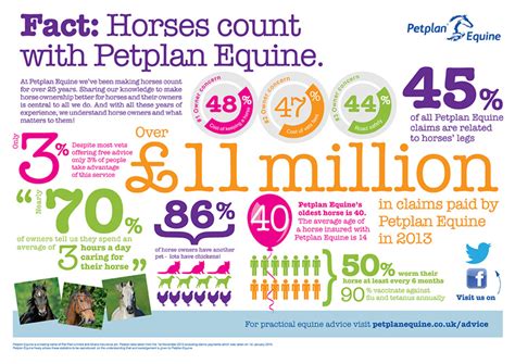 Horse Facts Petplan Equine