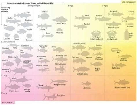 Raw Food Feeding Chart Mercury In Fish Fish Infographic Fish Chart
