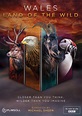 Wales - Land of the Wild | DVD | Free shipping over £20 | HMV Store