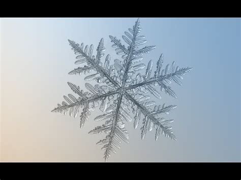 מרבד השלג משפיע על אורחות בני האדם החיים בסביבה מושלגת, על החי ועל הצומח, הוא יוצר קרחונים שעקבותיהם נחרטים גם בסלע. ‫דברים שלמדתי היום - פרק 26‬‎ - YouTube