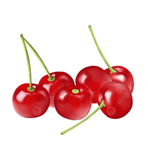 Red Cherries Clipart Transparent Png Hd Realistic Red Cherry