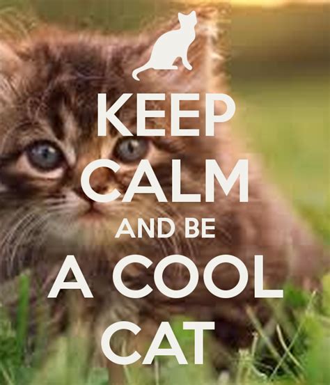 Keep Calm And Be A Cool Cat Calm Keep Calm Cool Cats