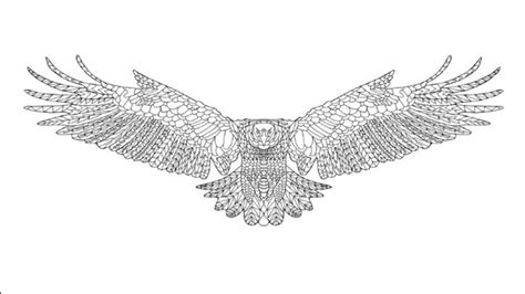 Langkah Langkah Membuat Gambar Burung Garuda 47 Cara Menggambar