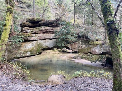 Best Hikes In Daniel Boone National Forest Ky Trailhead Traveler