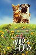 "The Adventures of Milo and Otis" (1986) - Directed by Masanori Hata ...
