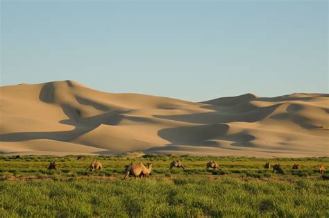 Deserto De Gobi Onde Fica