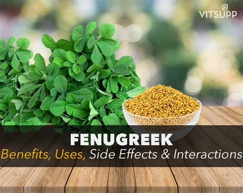 Fenugreek Seeds Benefits Uses Side Effects And Interactions Vitsupp