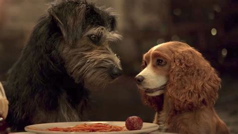 Lady And The Tramp — See First Trailer For Disney Live