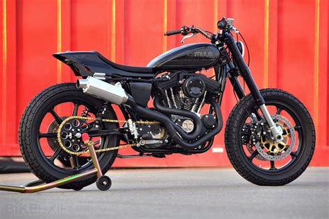 Mule Stealth Street Tracker Bike Exif