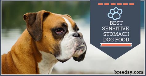 Check spelling or type a new query. 8 Best Dog Foods for Sensitive Stomach, Gas, and Diarrhea ...