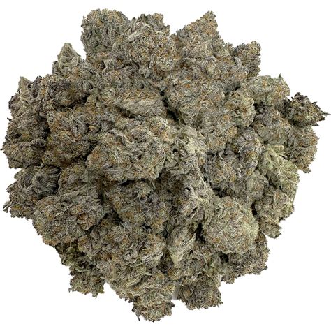 Buy Grand Daddy Purple Wholesale Wtf Online Dispensary