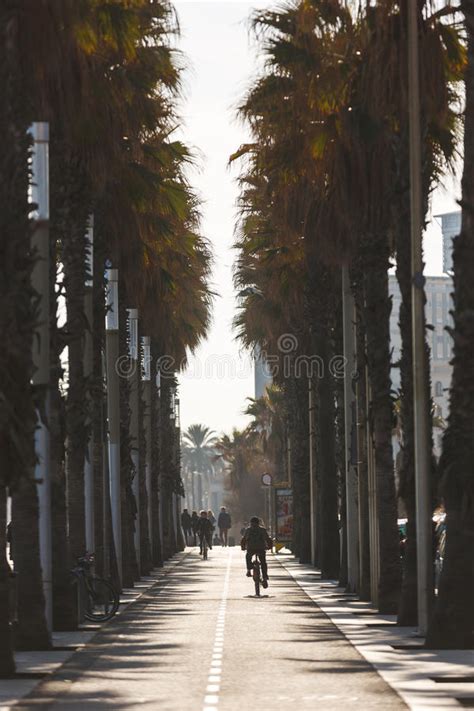 One of the best european. Promenade On Barceloneta Beach Editorial Stock Photo ...