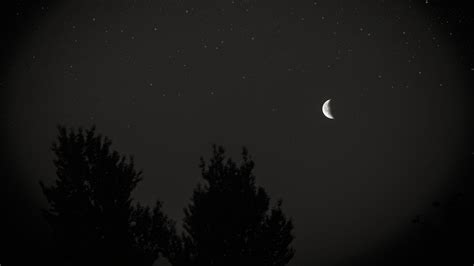 Moon Night Sky Tree Stars Dark 4k Sky Night Moon