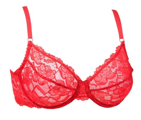 Red Lace Bra And Panties Stock Photo By ©gsermek 4178989