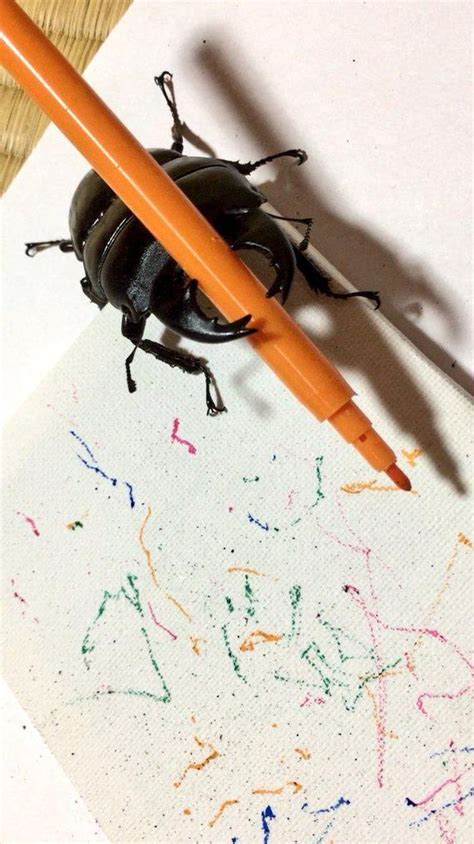 Spike The Beetle Proves That Artists Come In All Shapes Sizes And