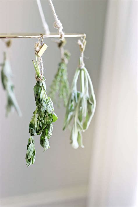 This Diy Herb Drying Rack Is The Kitchen Accessory You Didnt Know You
