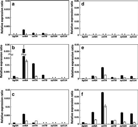 Expression Of Cellulase And Xylanase Encoding Genes During Growth In Download Scientific