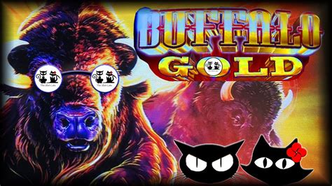 Buffalo Gold Reel Riches The Slot Cats Youtube