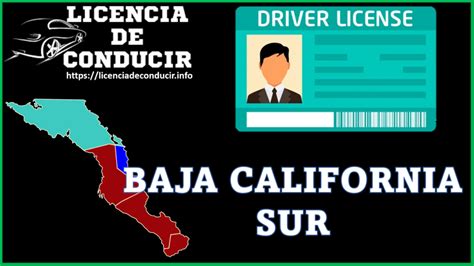 🛑 Licencia De Conducir Baja California Sur 2023 2024 🛻【 Noviembre 🚦 2023】