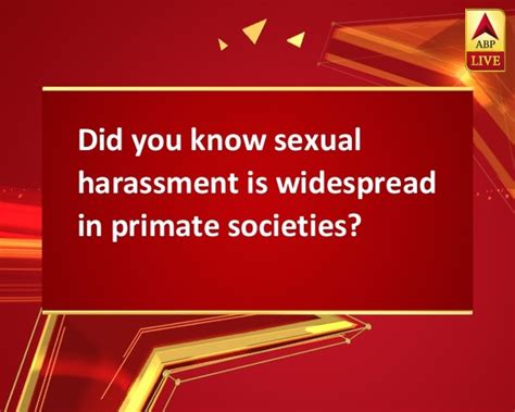 Did You Know Sexual Harassment Is Widespread In Primate Societies