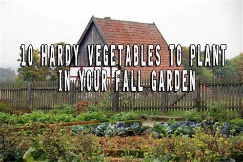 10 hardy vegetables to plant in your fall garden prepper s will