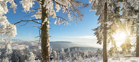 Stunning Background Panorama Of Snowy Frozen Landscape Snowscape In