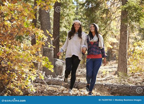 pares lesbianos felices que caminan en un bosque que lleva a cabo las manos imagen de archivo